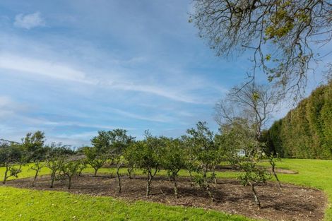 Photo of property in 17 Maraenui Drive, Kerikeri, 0293