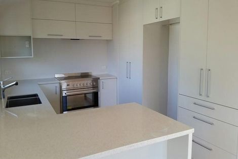 Photo of property in 40a Omahu Road, Greenlane, Auckland, 1051