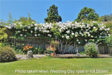 Photo of property in 37 Motutapu Avenue, Manly, Whangaparaoa, 0930