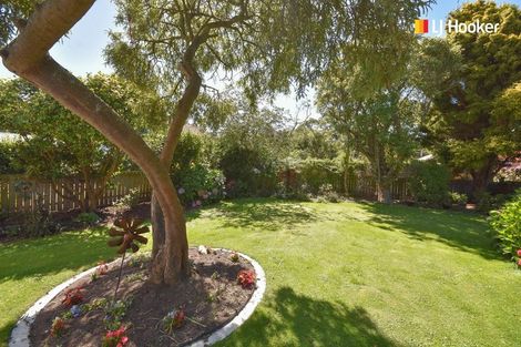 Photo of property in 13b Royal Crescent, Saint Kilda, Dunedin, 9012