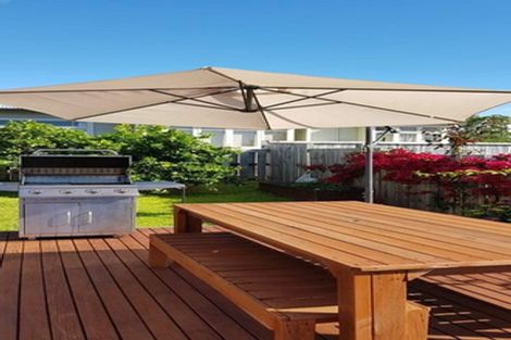 Photo of property in 19a Palmerston Street, Hamilton Central, Hamilton, 3204