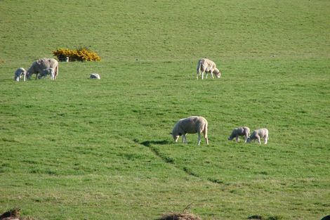 Photo of property in 129 Clark Road, Omaui, Invercargill, 9877