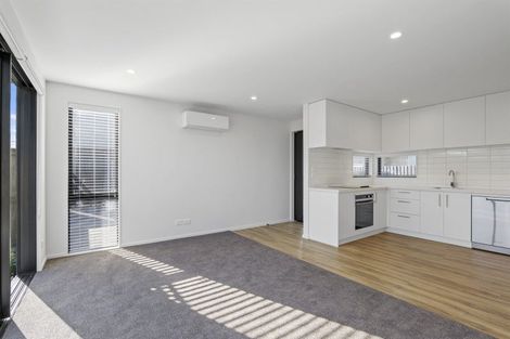Photo of property in 5/80 Harman Street, Addington, Christchurch, 8024