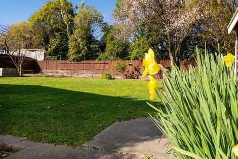 Photo of property in 14a Mckenzie Street, Witherlea, Blenheim, 7201