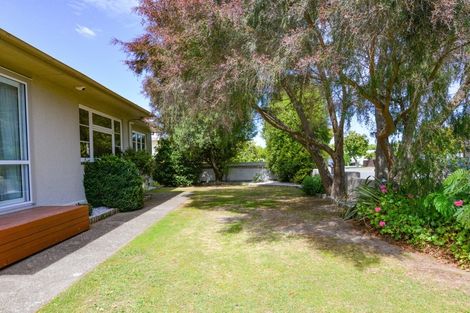 Photo of property in 201 Gascoigne Street, Raureka, Hastings, 4120
