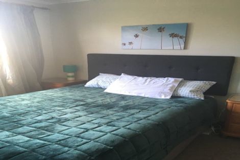 Photo of property in 16 Freyberg Street, Roslyn, Palmerston North, 4414