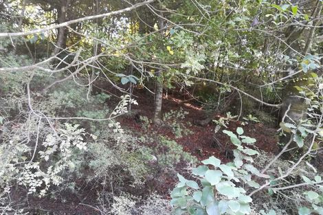 Photo of property in 1455 Port Charles Road, Port Charles, Coromandel, 3584