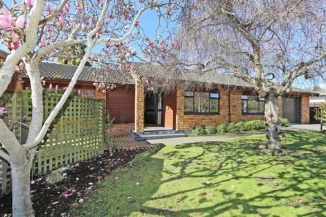 Photo of property in 63 James Cook Street, Havelock North, 4130