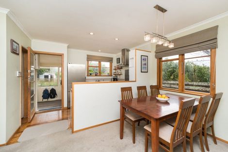 Photo of property in 6 Patea Place, Terrace End, Palmerston North, 4410