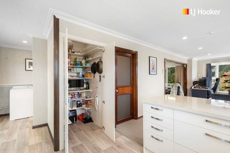 Photo of property in 31 Saint Albans Street, Bradford, Dunedin, 9011