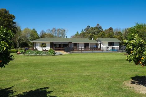 Photo of property in 191 Papatu Road, Manutuke, Gisborne, 4072