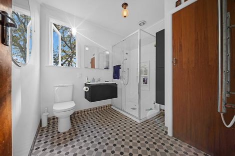 Photo of property in 117 Hutchinson Avenue, New Lynn, Auckland, 0600