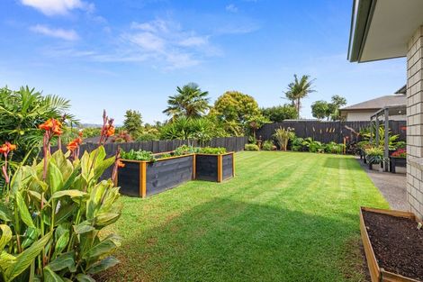 Photo of property in 43 Albero Drive, Ohauiti, Tauranga, 3112