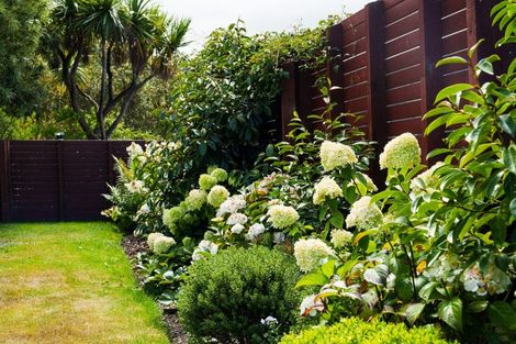 Photo of property in 38 Islington Street, North East Valley, Dunedin, 9010