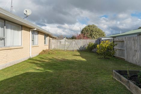 Photo of property in 50 Solomon Street, Brookfield, Tauranga, 3110