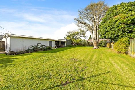 Photo of property in 101 Edinburgh Street, Pukekohe, 2120