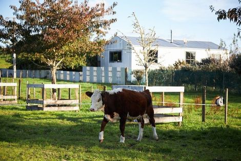 Photo of property in 1528a Pyes Pa Road, Oropi, Tauranga, 3173