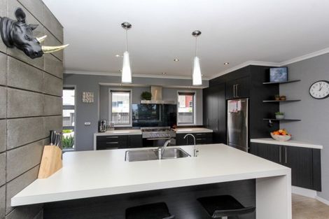 Photo of property in 45 Dillon Drive, Bell Block, New Plymouth, 4312