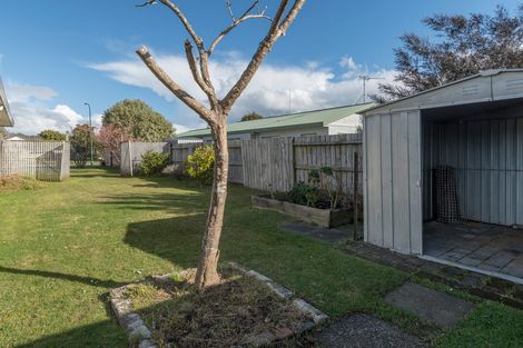 Photo of property in 50 Solomon Street, Brookfield, Tauranga, 3110