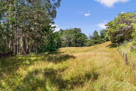 Photo of property in 266 Duck Creek Road, Stillwater, Silverdale, 0993