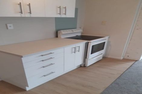 Photo of property in 105 Brougham Street, Addington, Christchurch, 8024