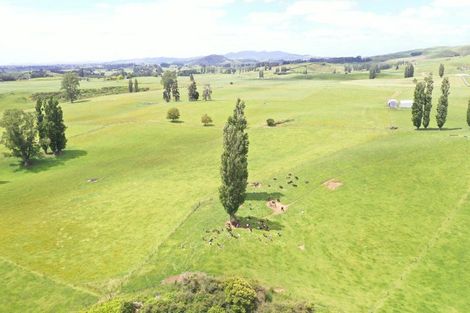 Photo of property in 912 Ngahape Road, Maihiihi, Te Awamutu, 3873