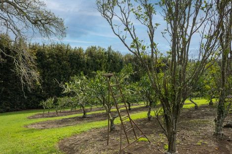 Photo of property in 17 Maraenui Drive, Kerikeri, 0293