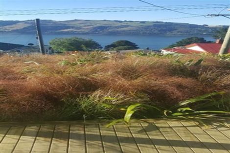 Photo of property in 41 Manapouri Street, Ravensbourne, Dunedin, 9022