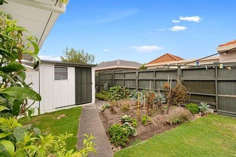 Photo of property in 109 Clarkin Road, Fairfield, Hamilton, 3214