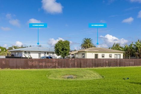 Photo of property in 22 Imrie Avenue, Mangere, Auckland, 2022