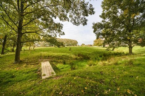 Photo of property in 197 Tutaki Road, Kelvin Grove, Palmerston North, 4470