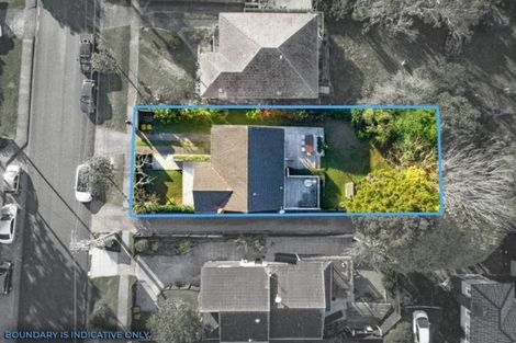 Photo of property in 12 Arahoe Road, New Lynn, Auckland, 0600