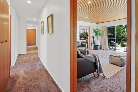 Photo of property in 14 Aston Place, Richmond, 7020