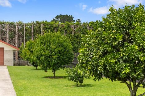 Photo of property in 57b Fairview Place, Te Puke, 3119