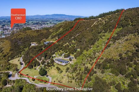 Photo of property in 91 Boar Bush Gully Road, Featherston, 5710
