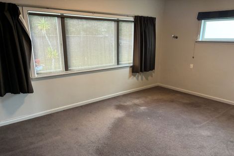 Photo of property in 16 Alison Street, Hamilton Lake, Hamilton, 3204