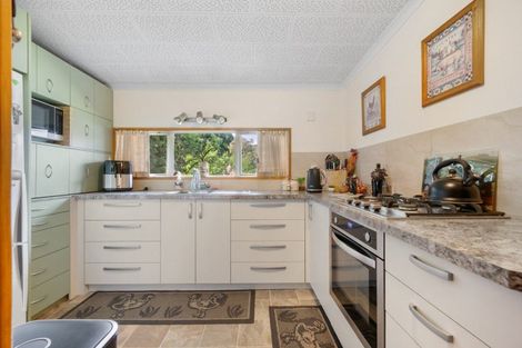 Photo of property in 124 Fraser Dam Road, Blackmans, Alexandra, 9391