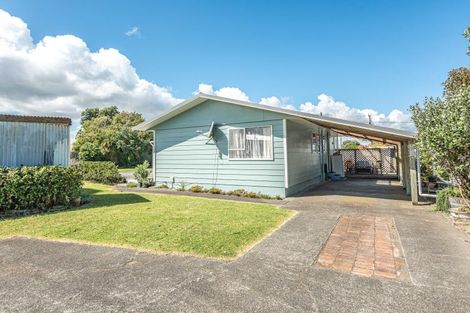 Photo of property in 106 Hinau Street, Castlecliff, Whanganui, 4501