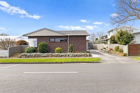 Photo of property in 164 Limbrick Street, Terrace End, Palmerston North, 4410