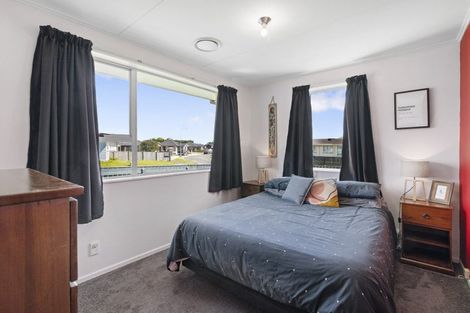 Photo of property in 63 Hinemoa Street, Levin, 5510
