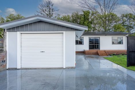 Photo of property in 46 Bruce Avenue, Glenview, Hamilton, 3206