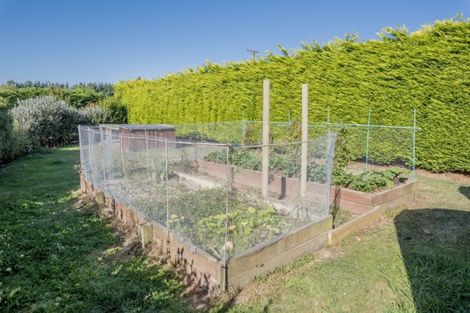 Photo of property in 87 Te Whanga Road, Levin, 5572