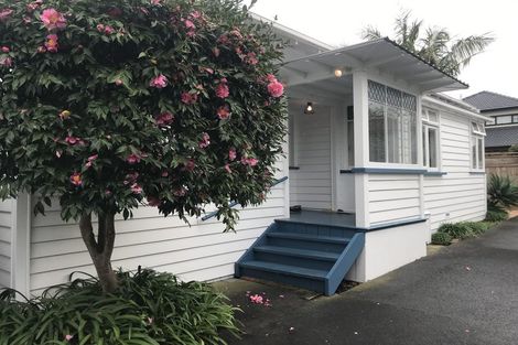 Photo of property in 11 Hanlon Crescent, Narrow Neck, Auckland, 0624