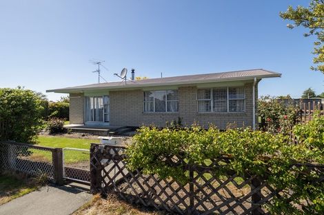 Photo of property in 117 George Street, Tinwald, Ashburton, 7700