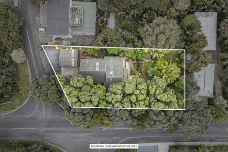 Photo of property in 132 Woodlands Park Road, Titirangi, Auckland, 0604