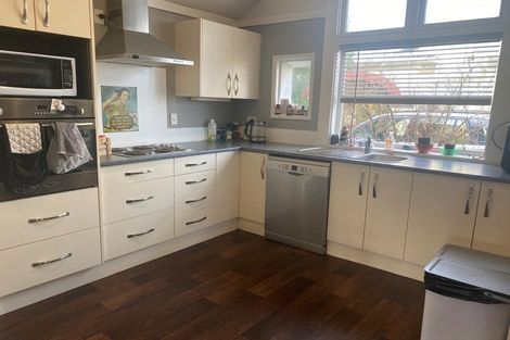 Photo of property in 133 Nelson Street, Georgetown, Invercargill, 9812