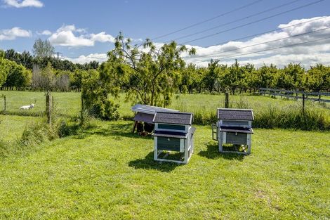 Photo of property in 546 Puketitiri Road, Puketapu, Napier, 4182