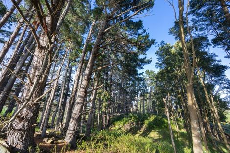 Photo of property in 86 Williams Road, Tokomaru, Palmerston North, 4474