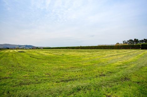 Photo of property in 268 Tancreds Road, Lincoln, Christchurch, 7672