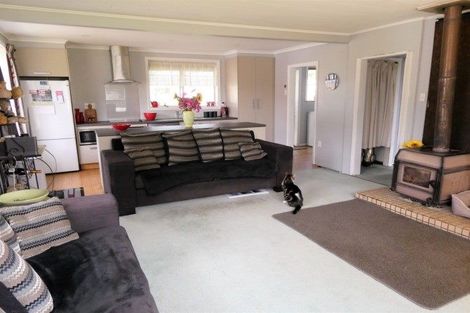 Photo of property in 16 Mawhera Street, Dobson, Greymouth, 7805